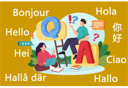 Questions et Réponses sur le Support Multilingue( la Pile LAMP)